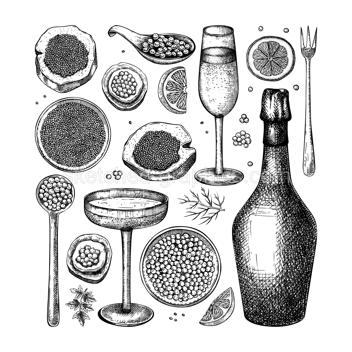 Caviar and champagne hand drawn illustrations collection. Hand drawn red caviar canape, canned black caviar, sparkling wine bottle, glasses sketches set. Seafood drawings isolated on white background Illustration